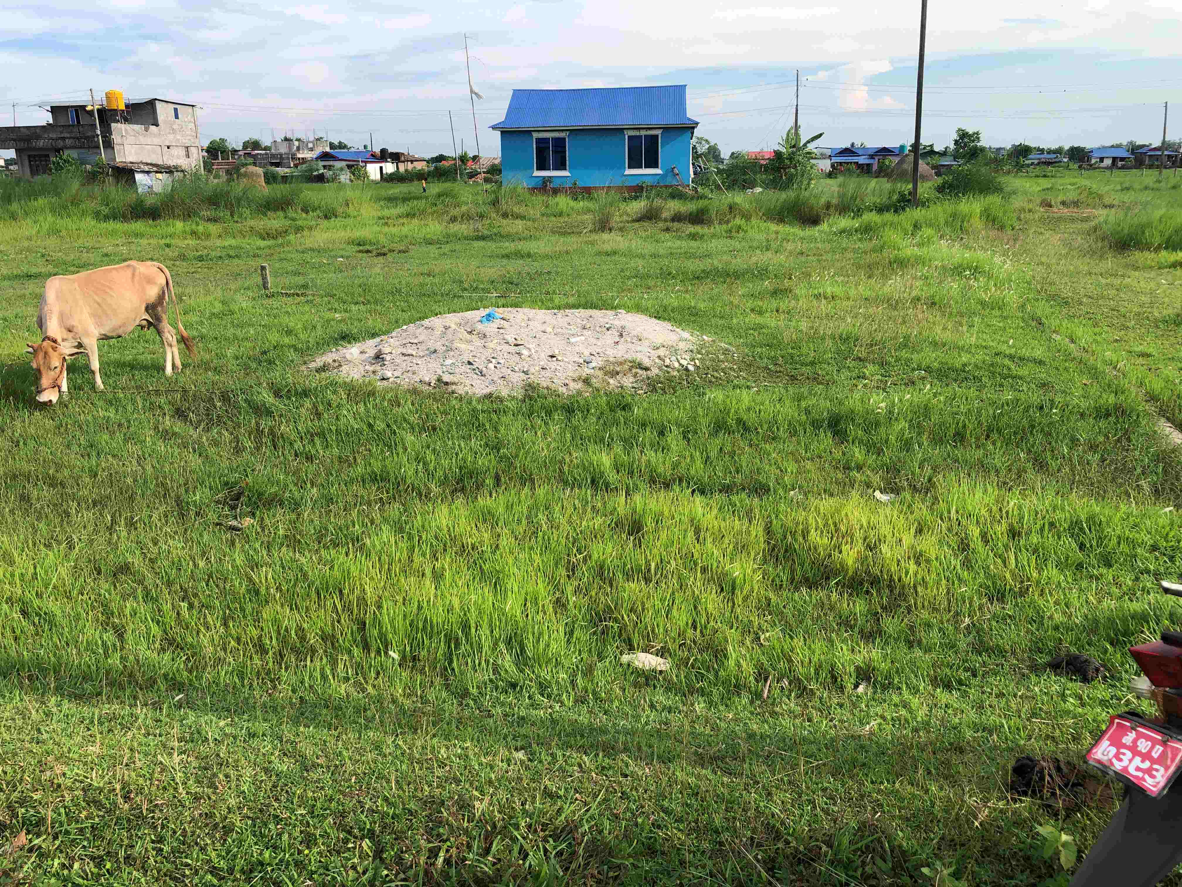 Land at Sale at Damak, Jhapa near Near Bal Asram