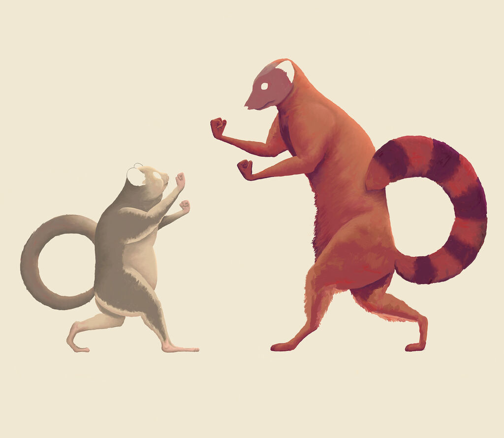 Mouse Lemur vs Ring Tailed Mongoose I