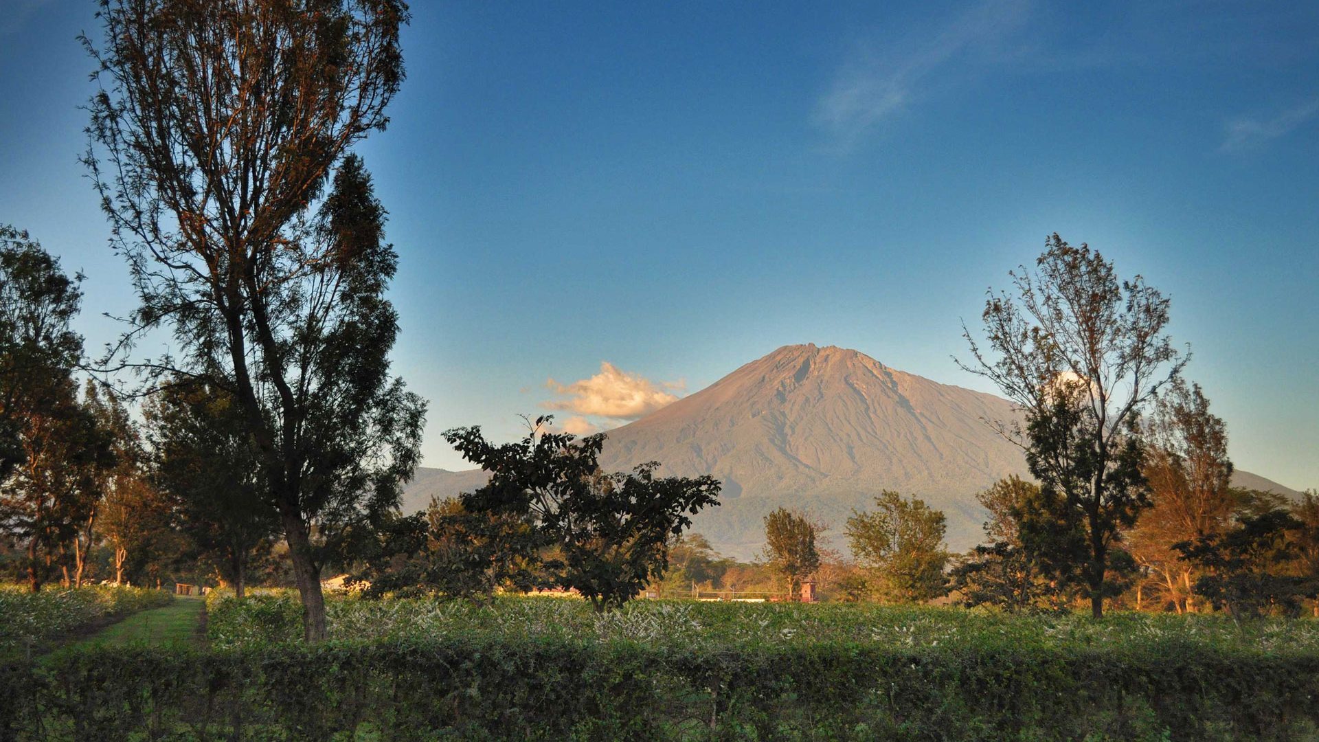 country image