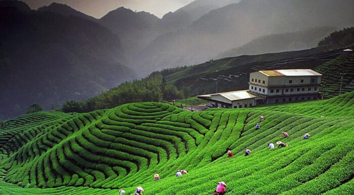 country image