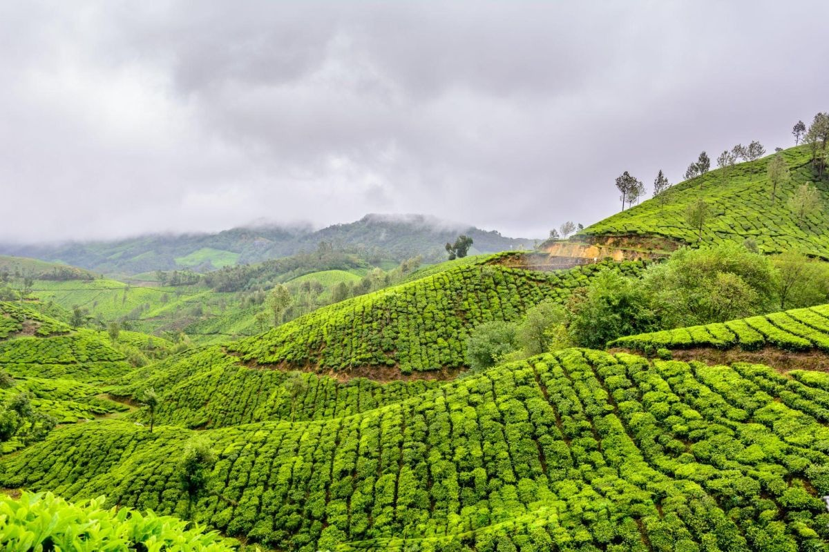 country image