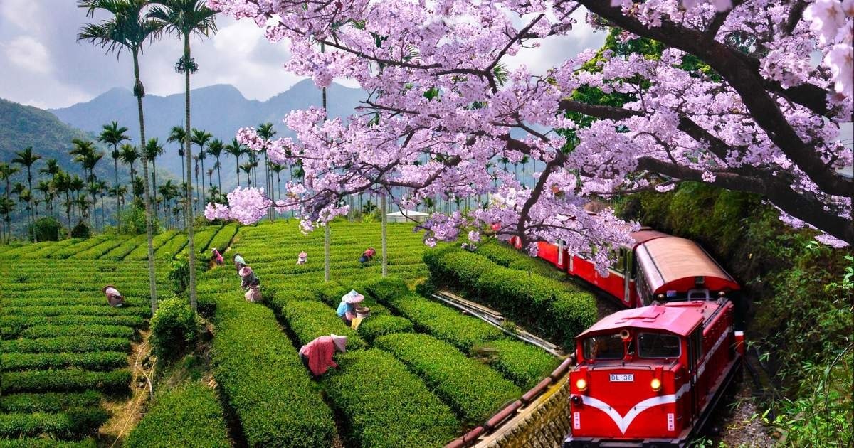 country image