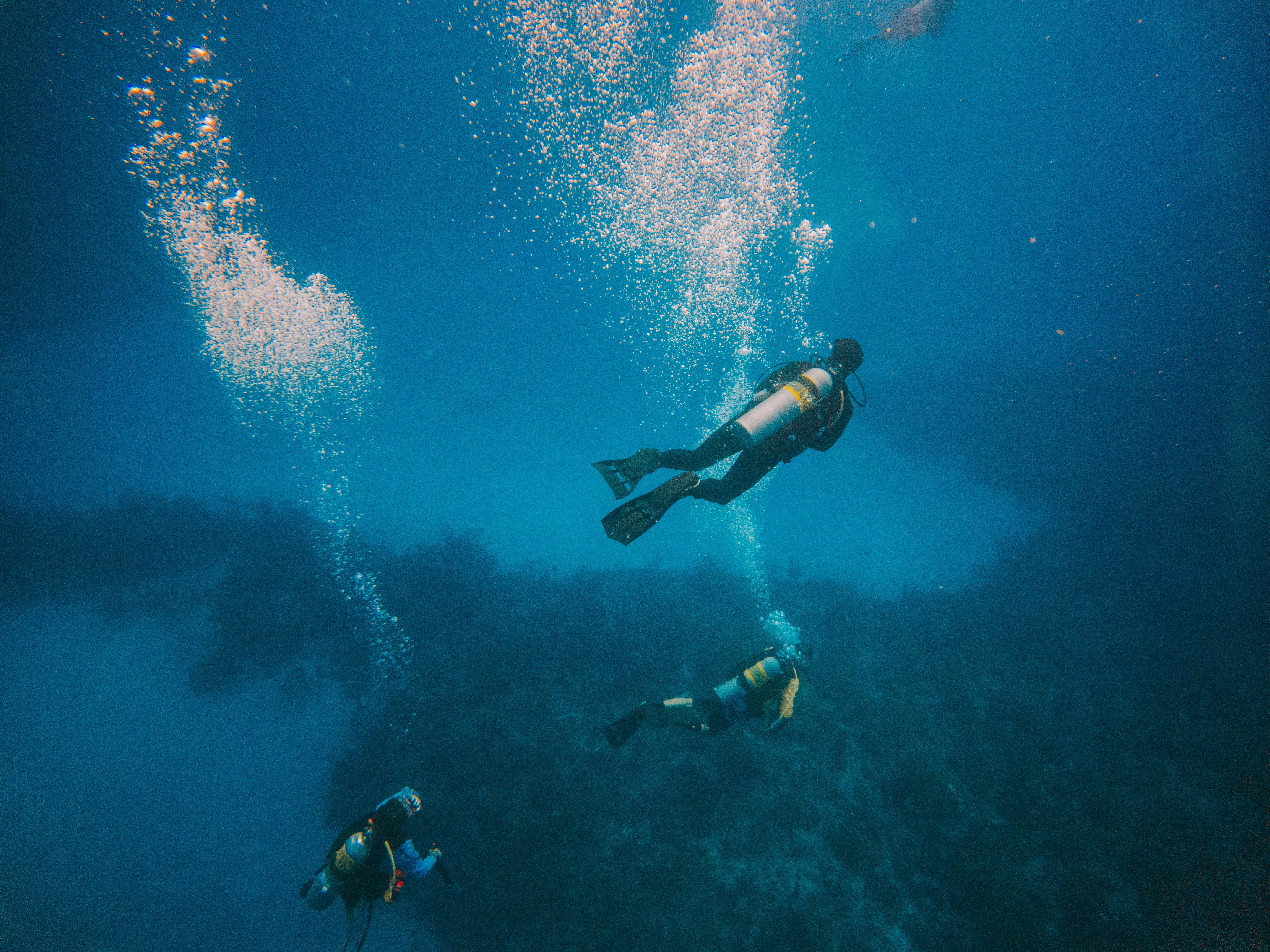 Beginner Scuba 