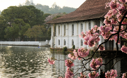 Kandy Day Tour