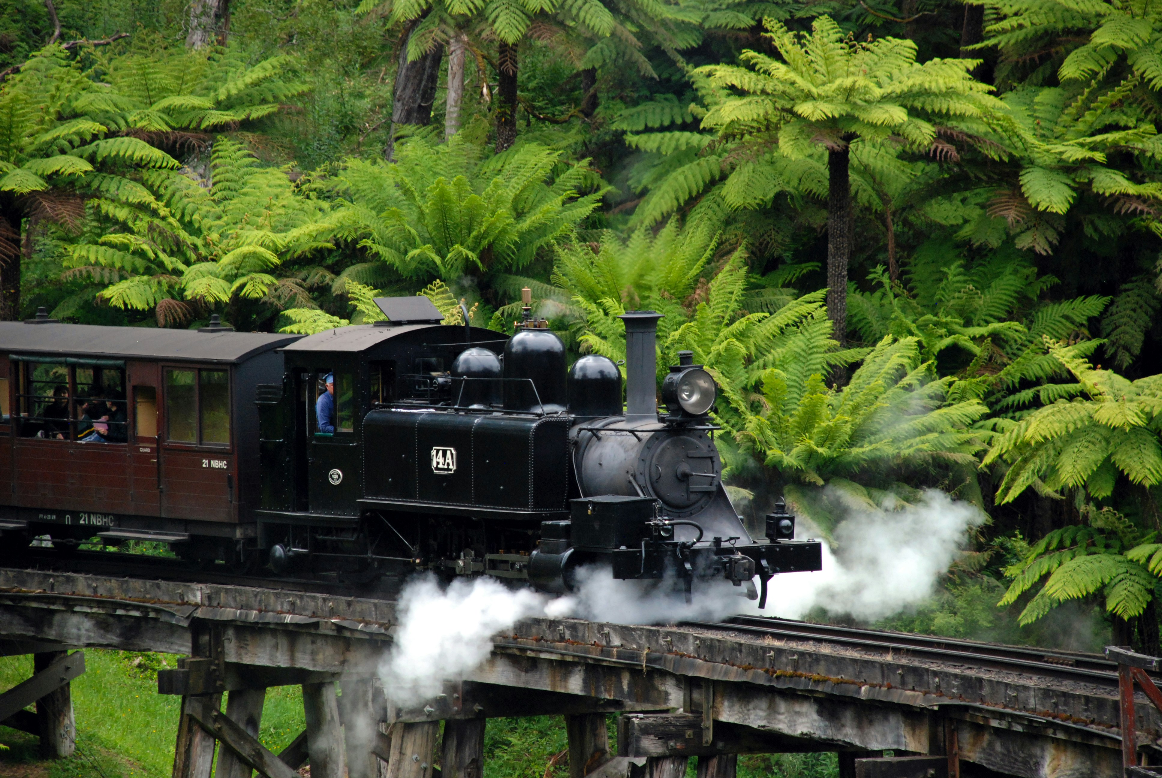 Puffing Billy & Healesville Sanctuary