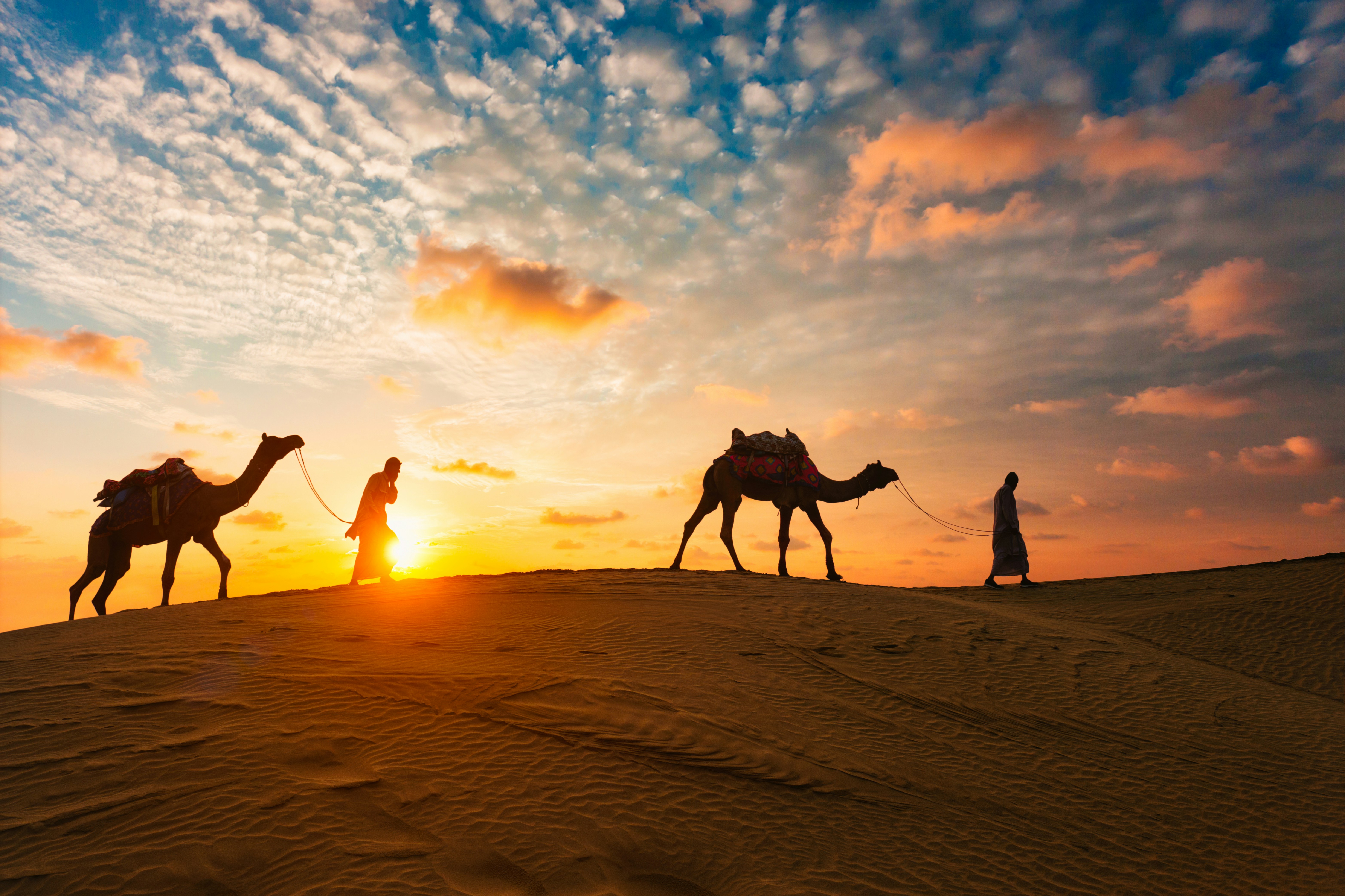 Desert Safari Tours in Dubai