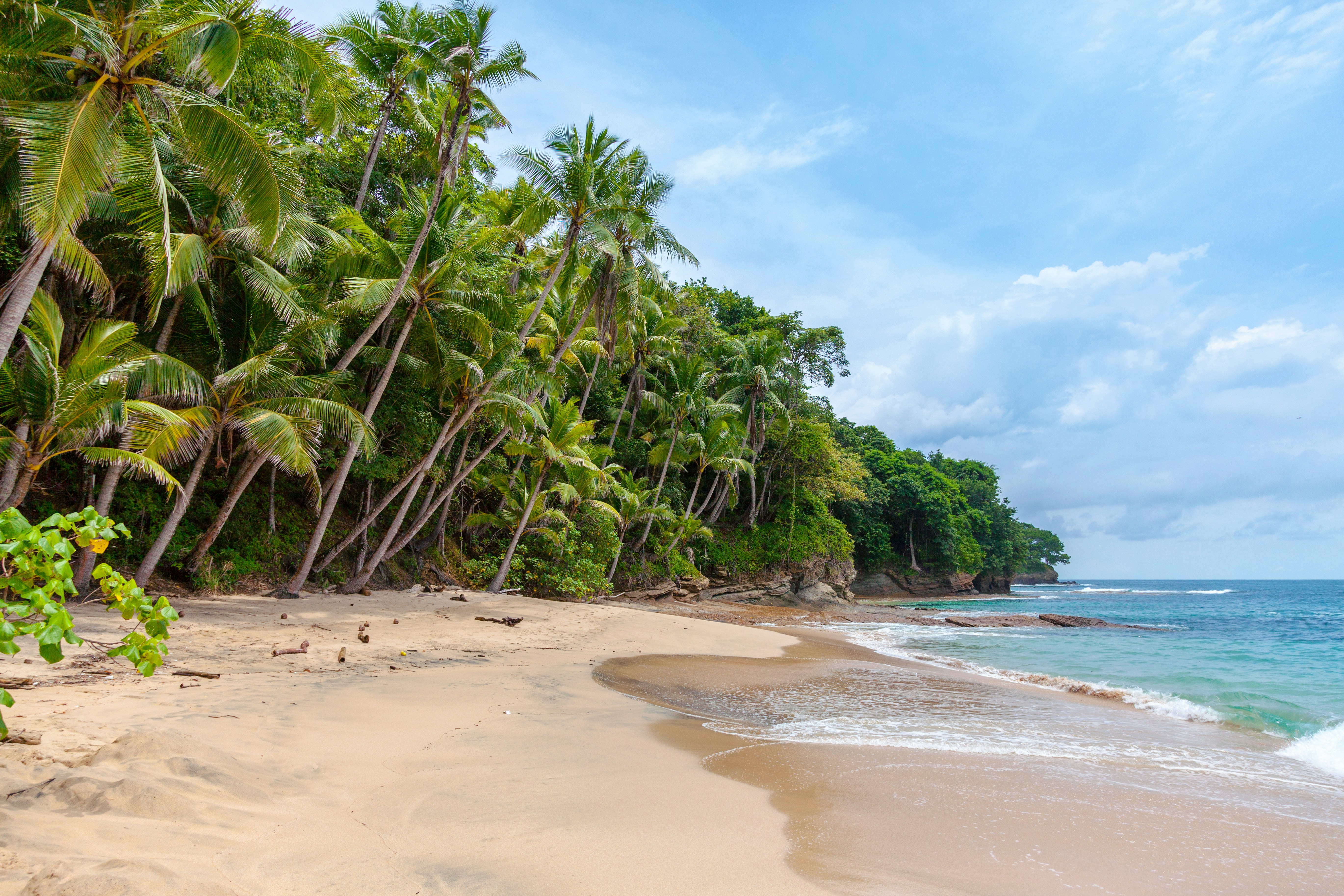Elephant Beach