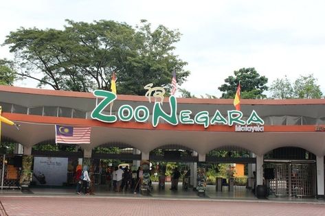 Half Day Zoo Negara