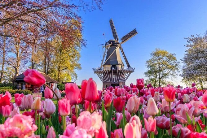 Keukenhof & Zaanse Schans