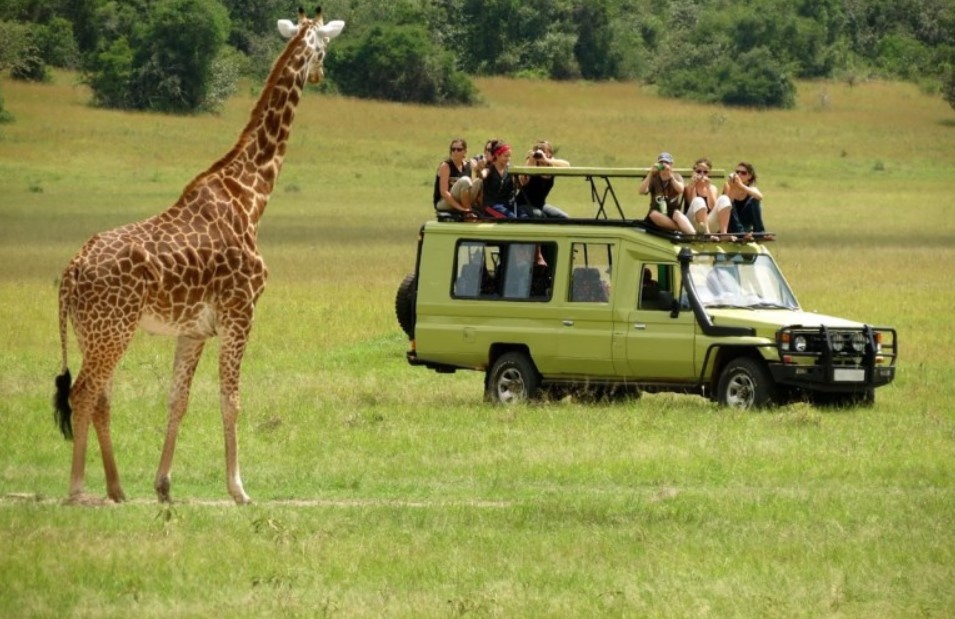 Lake Manyara Game Drive