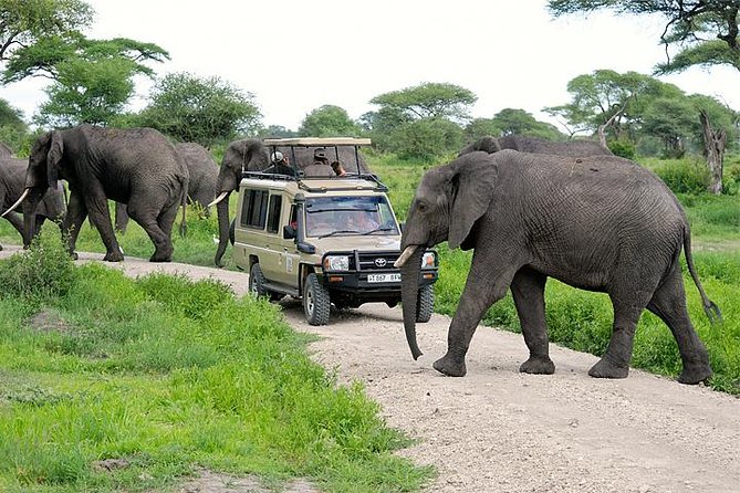 Tarangire Game Drive