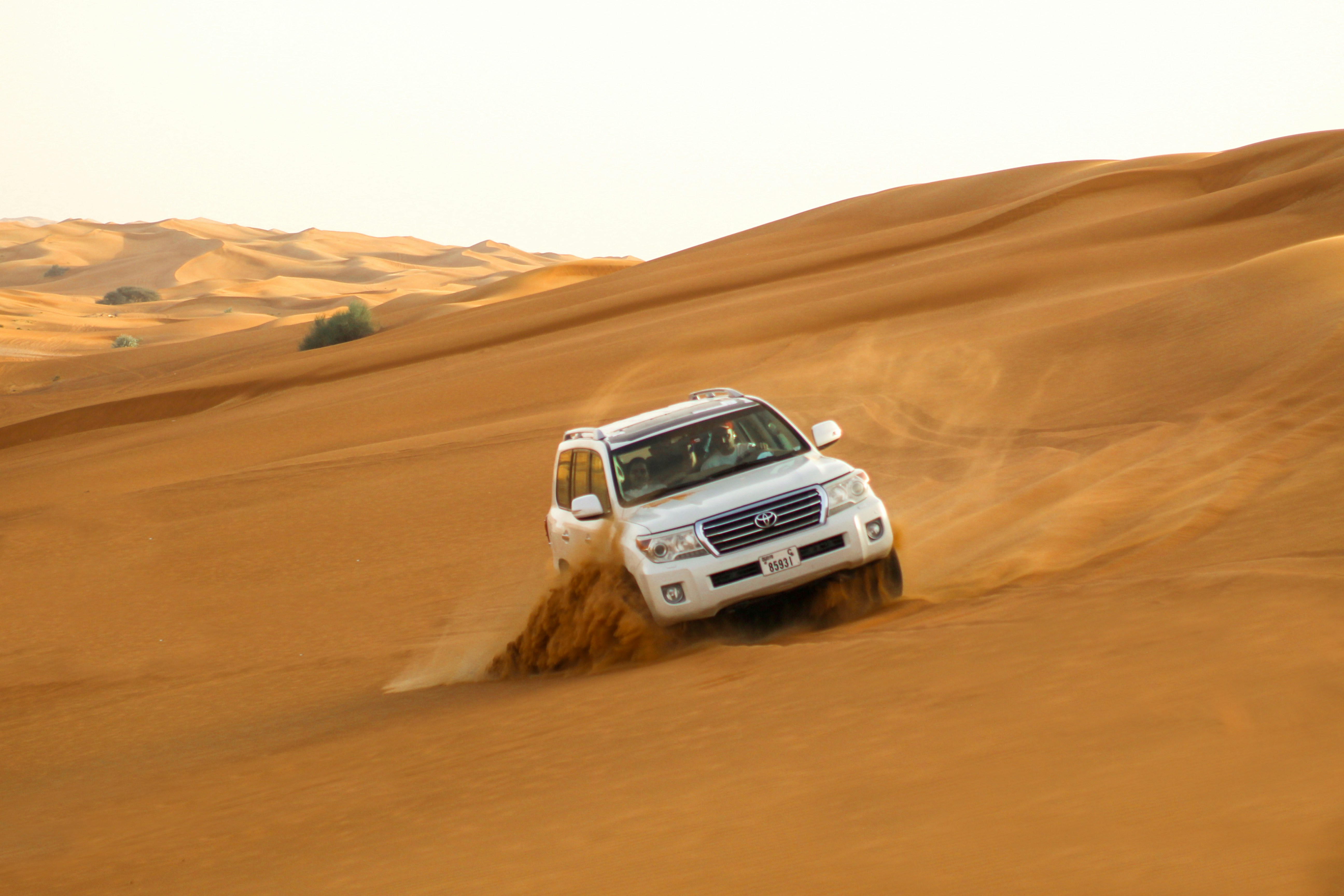 Desert safari - Abu Dhabi