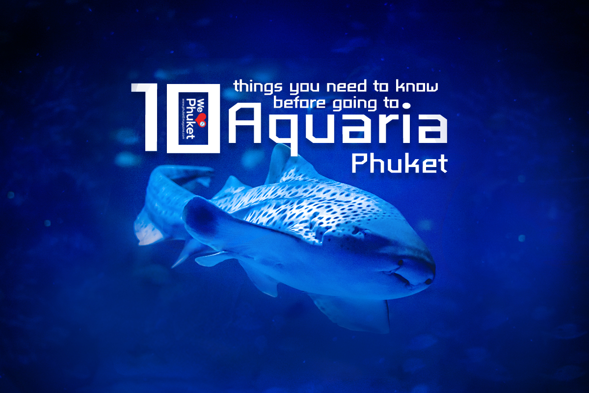 Phuket Aquaria
