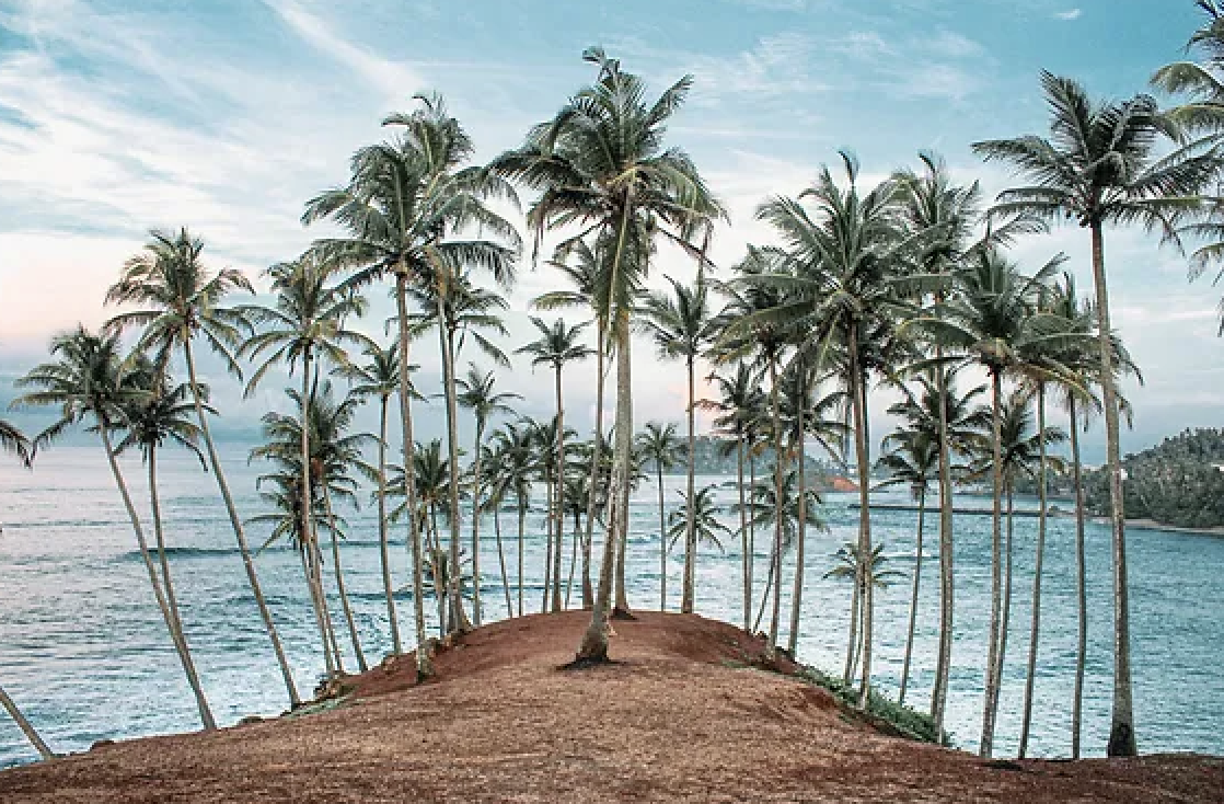 Coconut Tree Hill & Secret Beach.