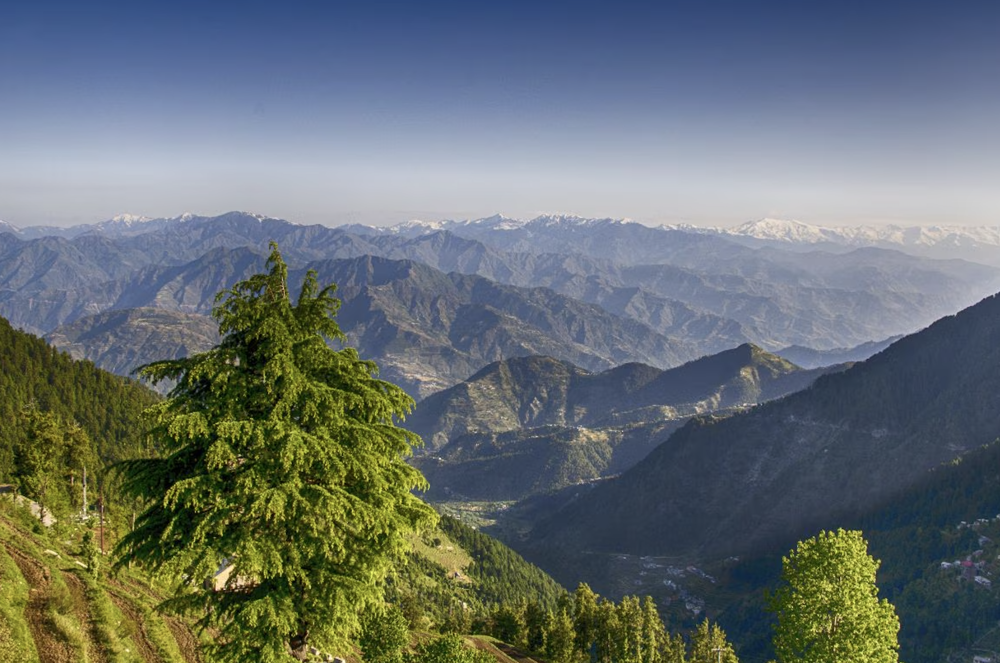 Dharamshala Sightseeing