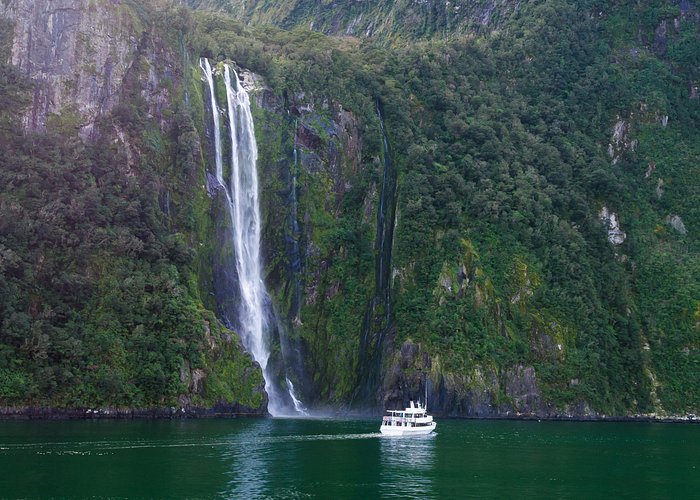 Milford Sound Day Tour and Cruise from Queenstown