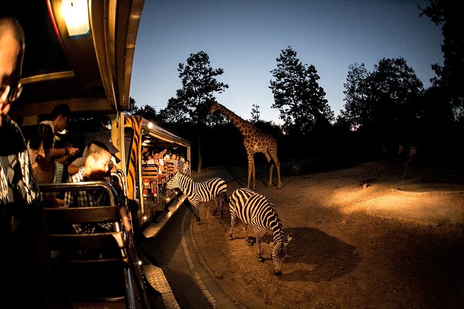 Chiang Mai Night Safari