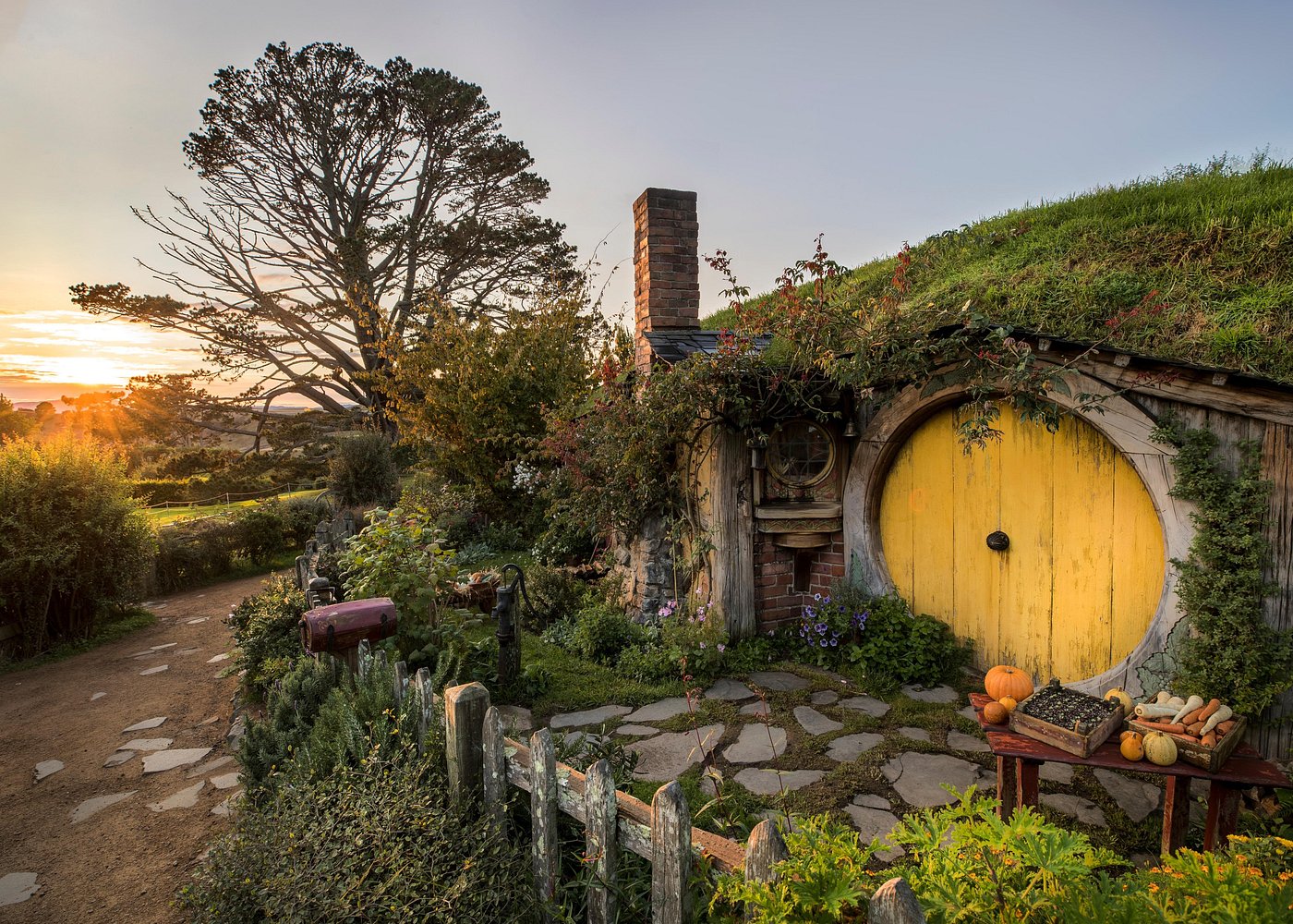 Hobbiton Movie Set Tour