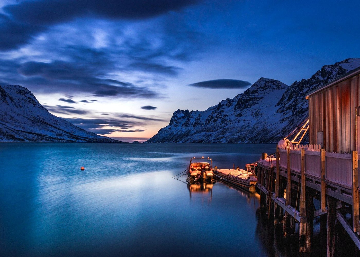 Arctic Wildlife & Fjord Tour