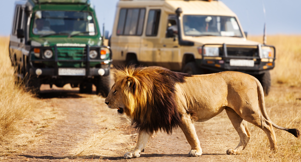 Full day game drives in Amboseli
