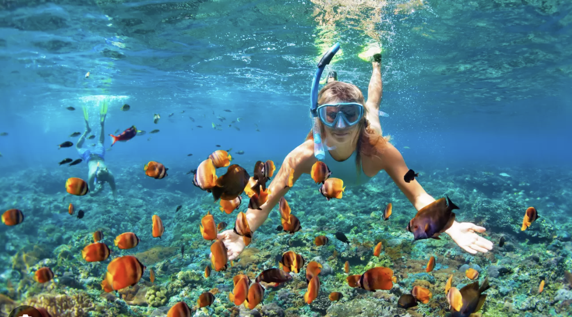 Snorkeling Tour