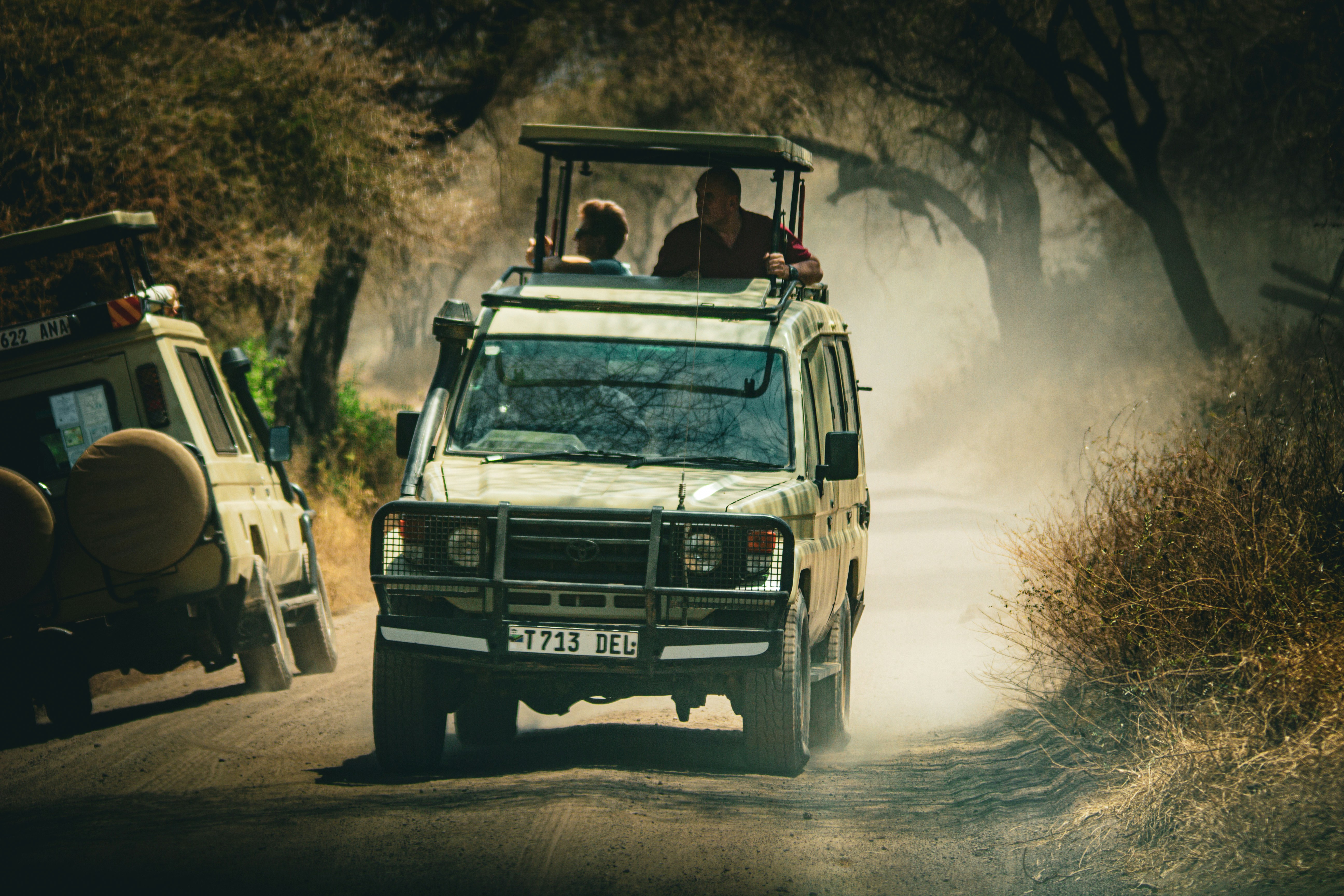 Game Drive at Lake Manyara