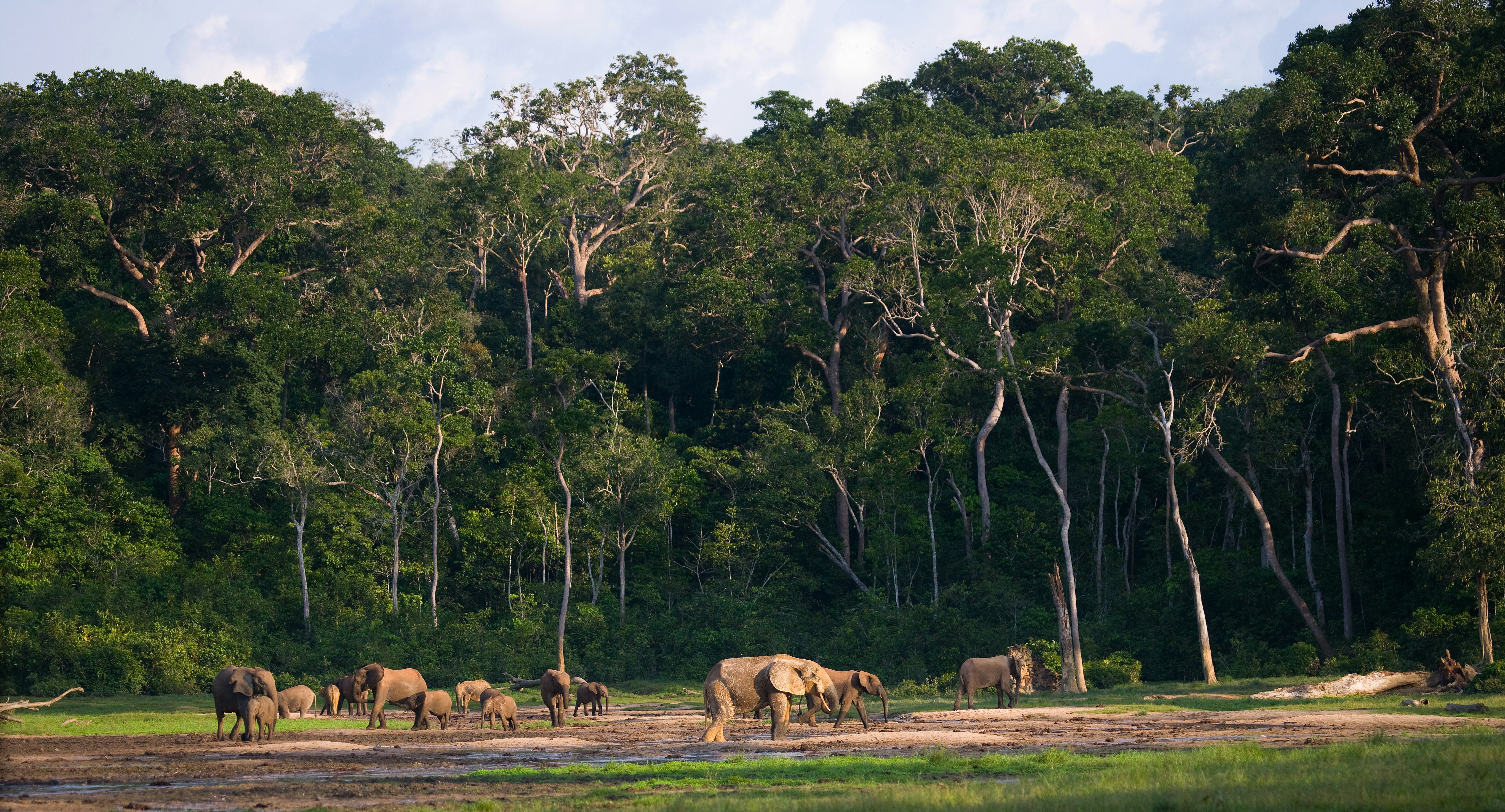 Arusha National Park