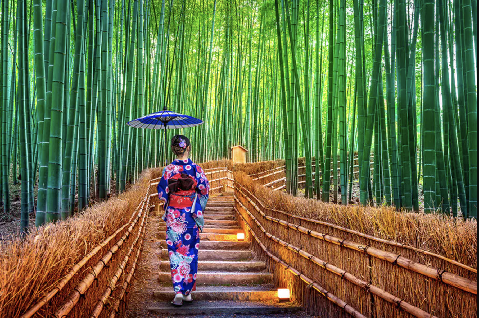 Arashiyama Bamboo Forest