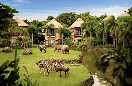 Bali Escape with Jungle Hopper 