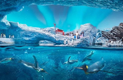 Yas Island Spectacular | Abu Dhabi
