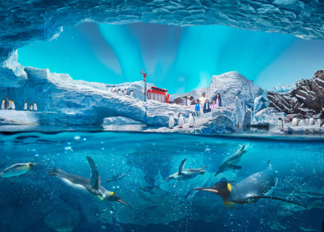 Middleeast United Arab Emirates Tour Packages Itineraries | Yas Island Spectacular Abu Dhabi | Touron | Touron Holidays | Best Travel Agency