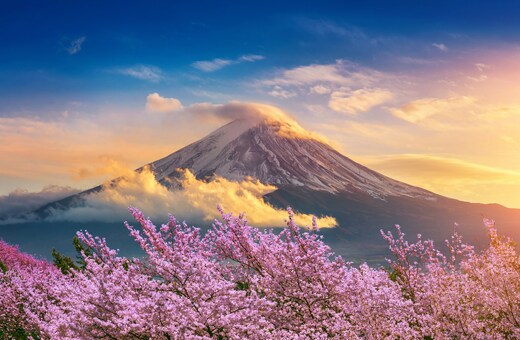 Japan Unleashed: 12-Day Adventure (Japan Holiday Trip)