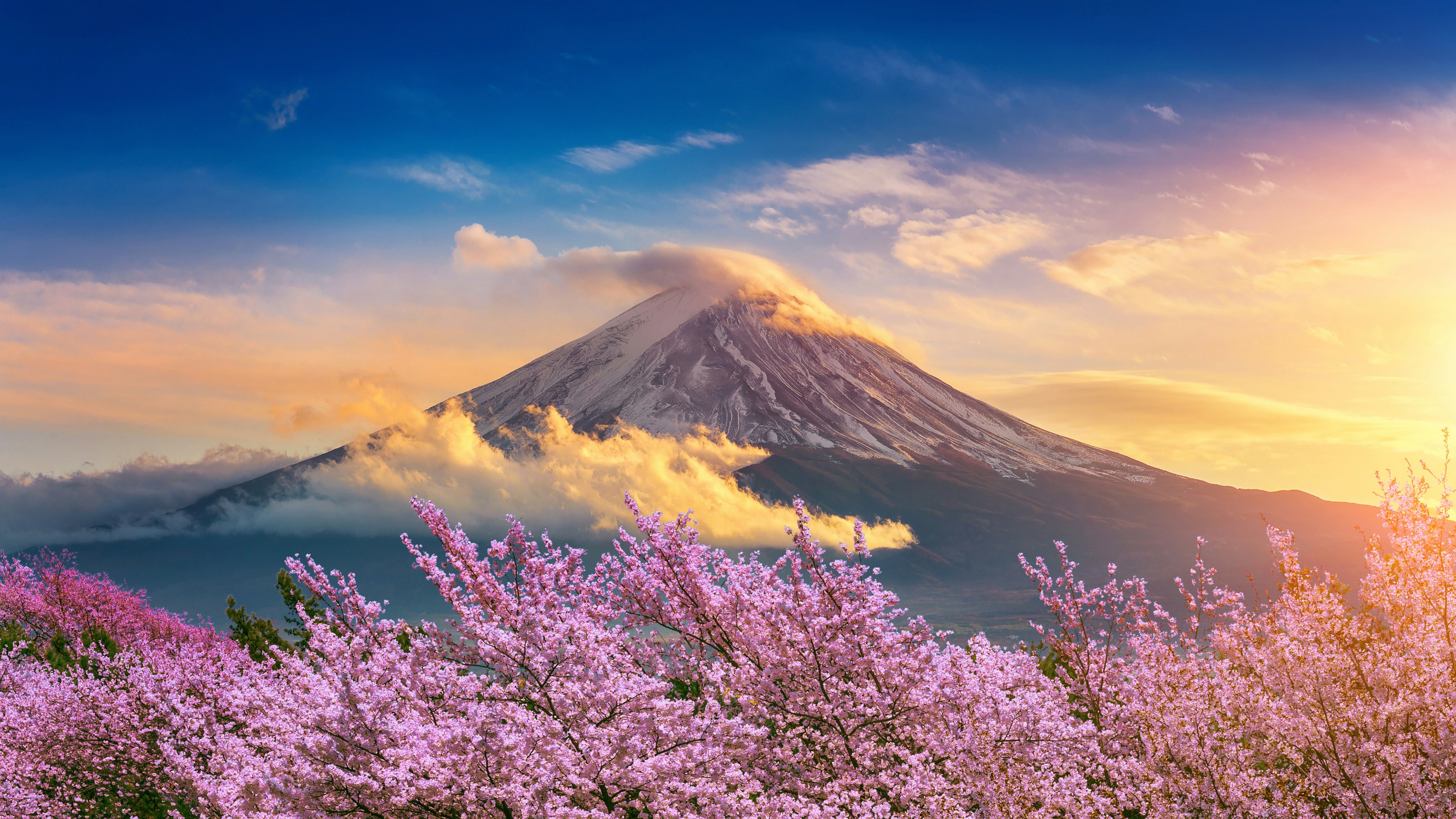 Japan Tour Packages Itineraries | Japan Unleashed 12day Adventure | Touron | Touron Holidays | Best Travel Agency