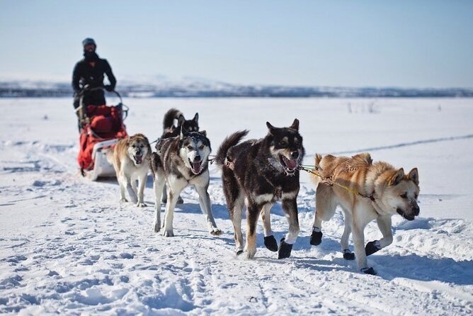 Europe Finland Tour Packages Itineraries | Northern Lights Adventure In Finland | Touron | Touron Holidays | Best Travel Agency