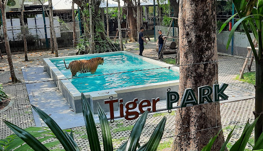 Thailand Tour Packages Itineraries | Bangkok Pattaya Vacation | Touron | Touron Holidays | Best Travel Agency