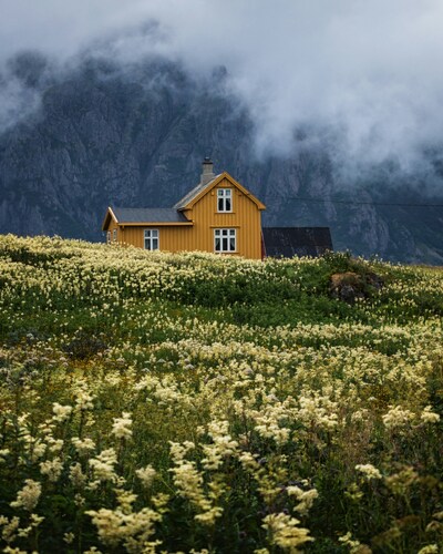 country image