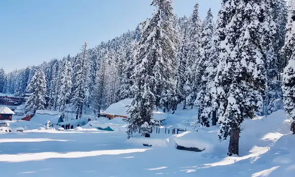 India Tour Packages Itineraries | Valley Of Dreams 5 Days In Kashmir | Touron | Touron Holidays | Best Travel Agency