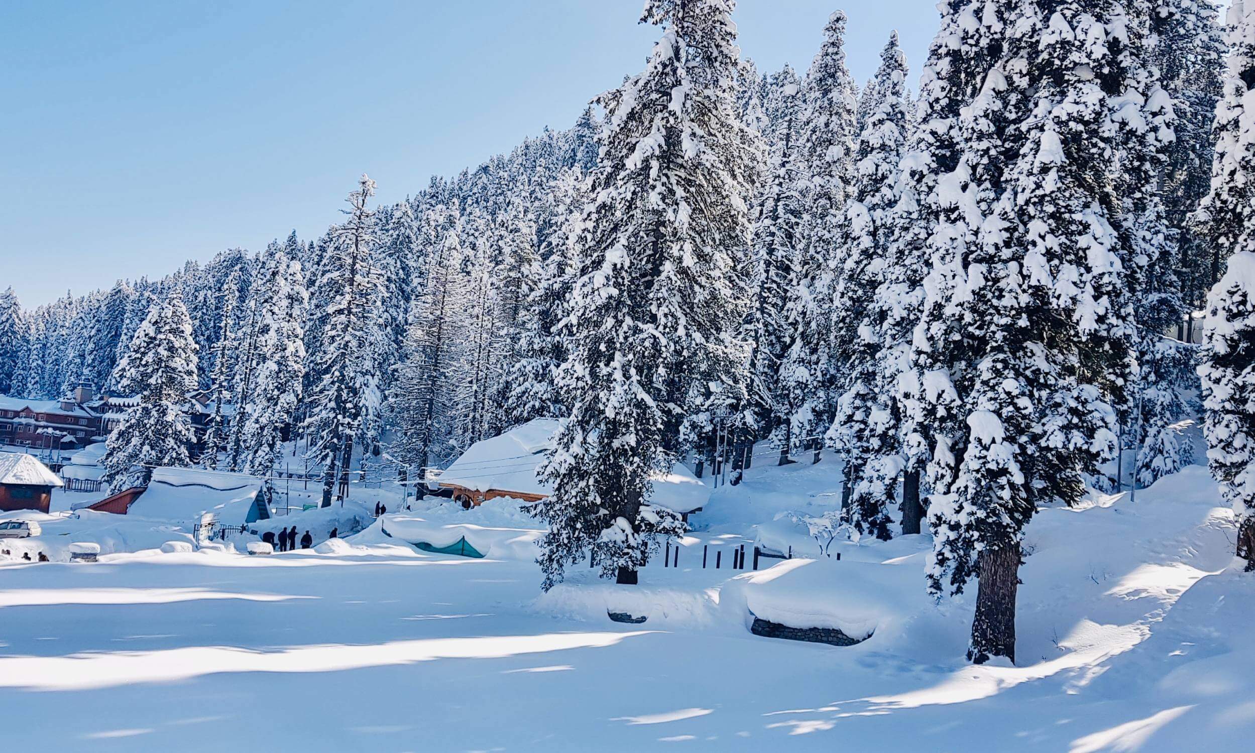 India Tour Packages Itineraries | Valley Of Dreams 5 Days In Kashmir | Touron | Touron Holidays | Best Travel Agency