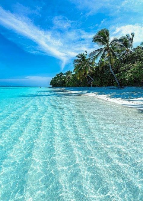 India Tour Packages Itineraries | 8 Days Andaman Beach Break | Touron | Touron Holidays | Best Travel Agency