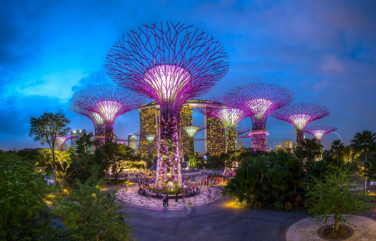 Singapore Tour Packages Itineraries | Vibrant City Break To Singapore For 4 Days | Touron | Touron Holidays | Best Travel Agency
