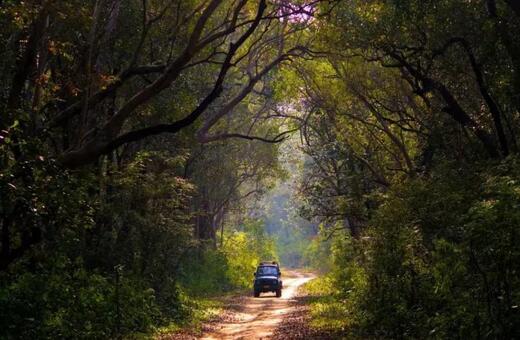 Uttarakhand: Nature, Spirituality, and Adventure