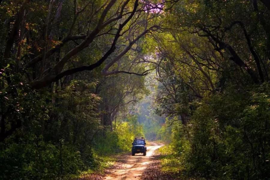 India Tour Packages Itineraries | Serene Uttarakhand A Himalayan Wonderland | Touron | Touron Holidays | Best Travel Agency