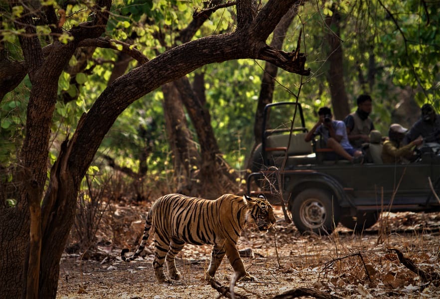 India Tour Packages Itineraries | Serene Uttarakhand A Himalayan Wonderland | Touron | Touron Holidays | Best Travel Agency
