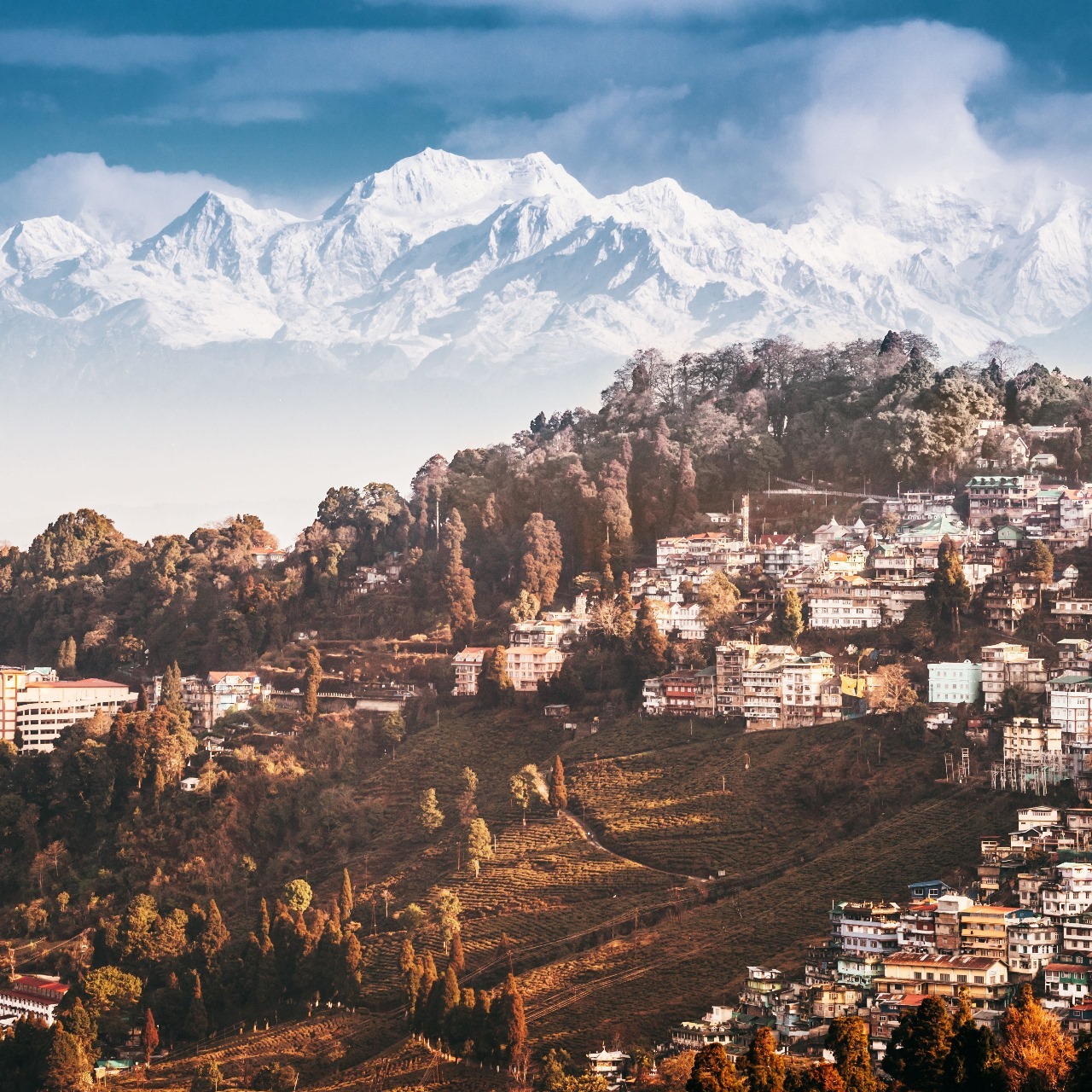 India Tour Packages Itineraries | Majestic Hills Exploring Darjeeling Gangtok | Touron | Touron Holidays | Best Travel Agency