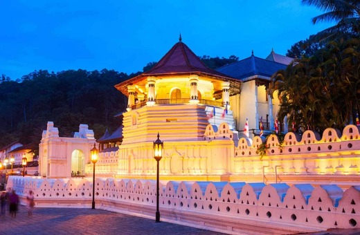 Enchanting Sri Lanka: A 7-Day Journey