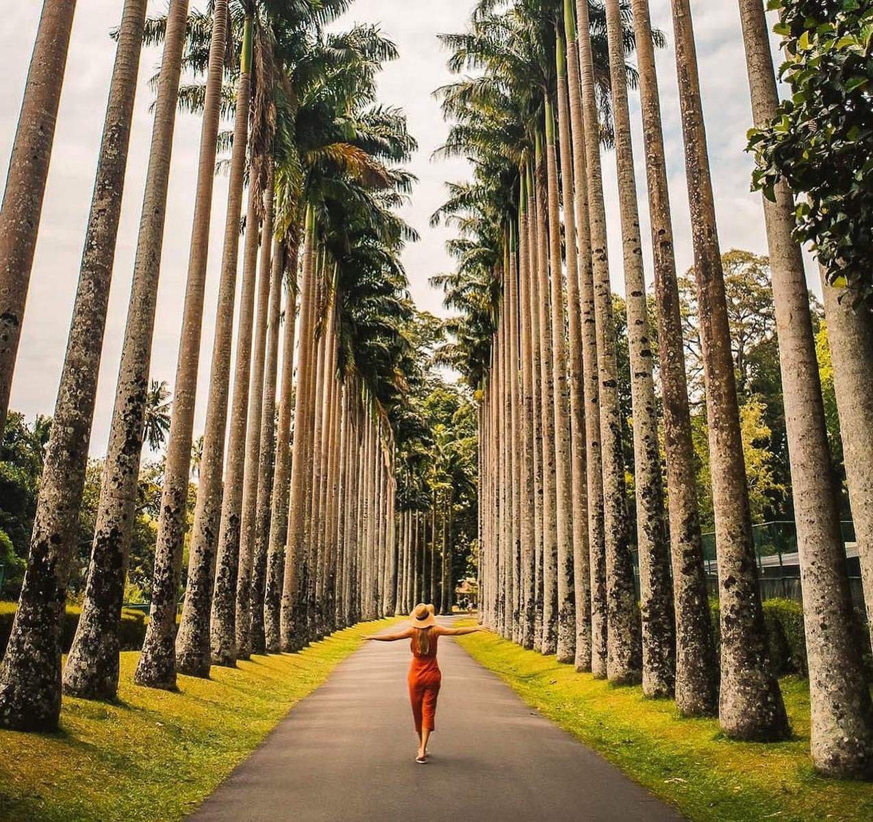 Sri Lanka Tour Packages Itineraries | Enchanting Sri Lanka A 7day Journey | Touron | Touron Holidays | Best Travel Agency