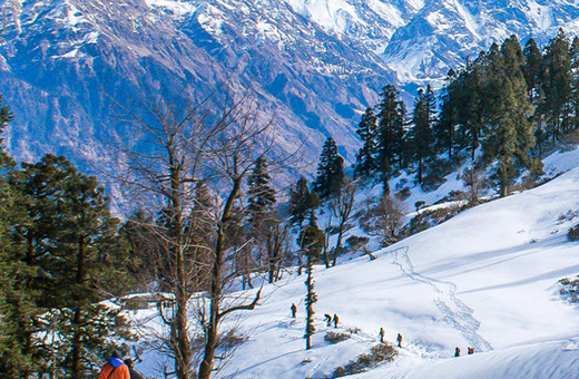 Majestic Himalayas – Manali & Shimla Retreat