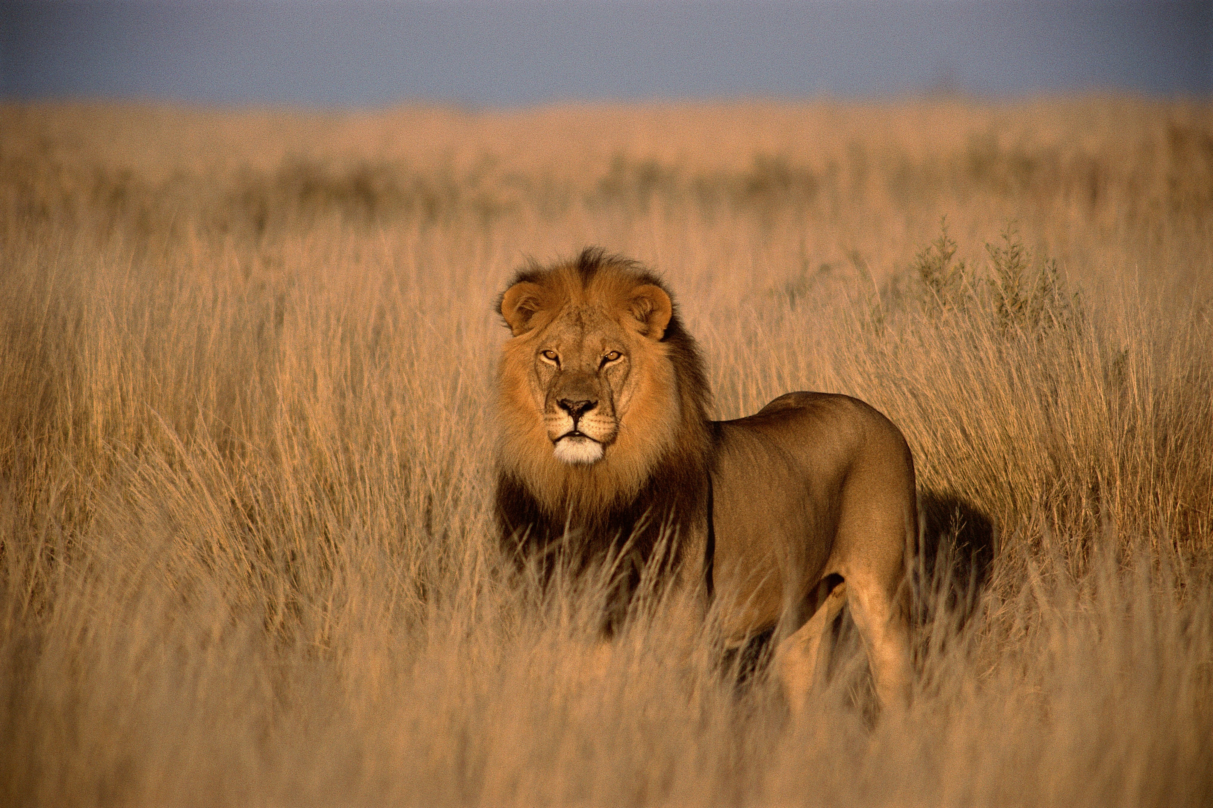 Africa Kenya Tour Packages Itineraries | Adevnture Kenya Maasai Mara Expedition | Touron | Touron Holidays | Best Travel Agency