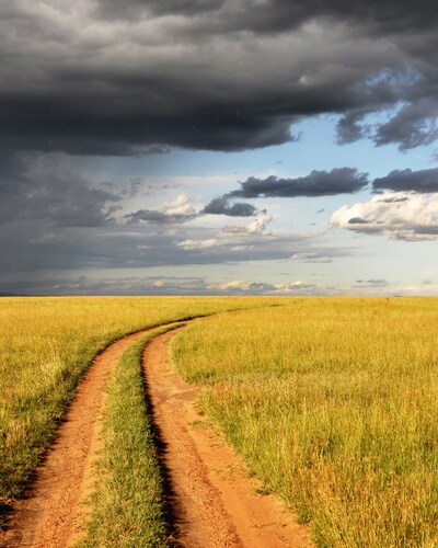 country image