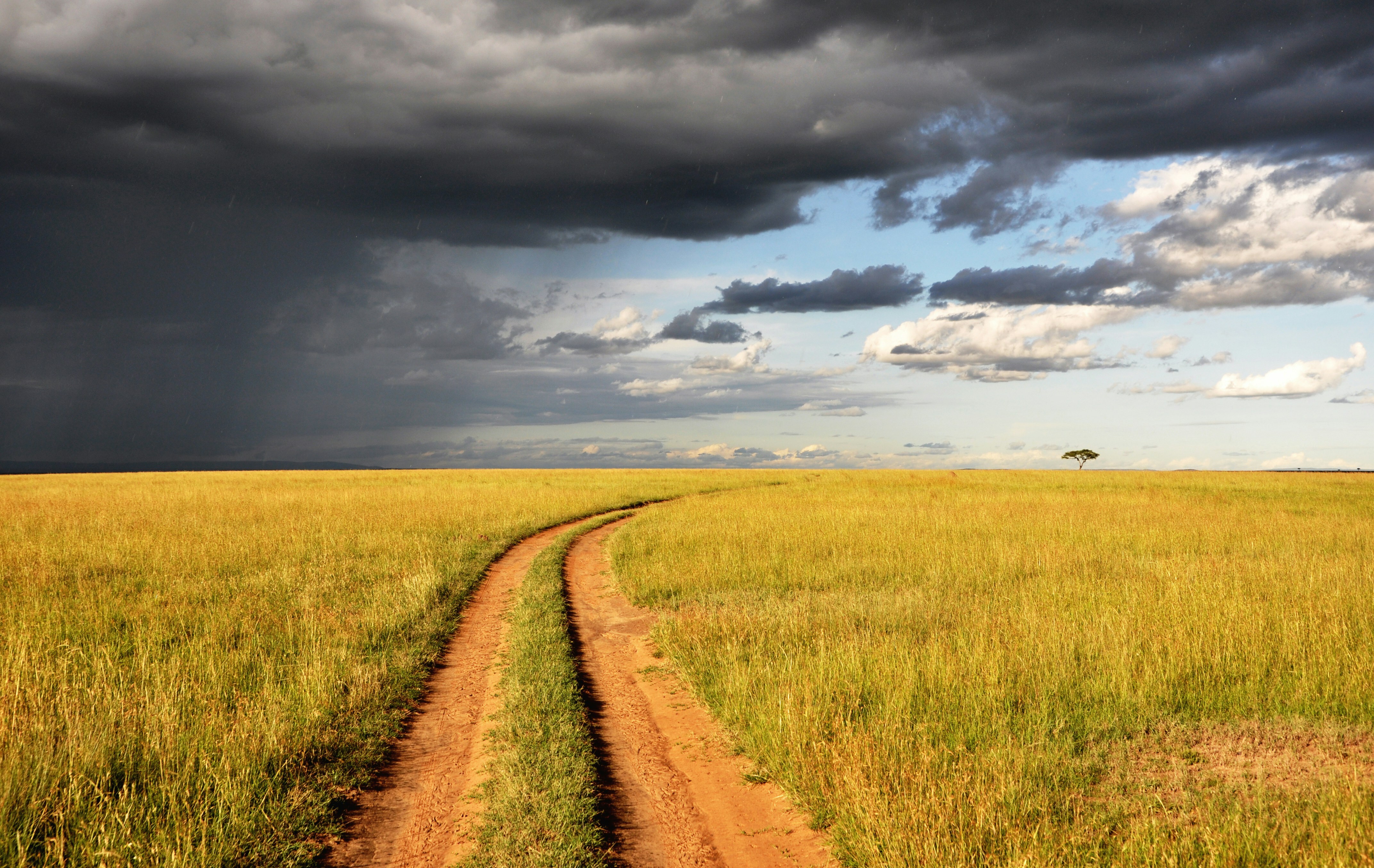 Africa Kenya Tour Packages Itineraries | Kenyas Wild Wonders | Touron | Touron Holidays | Best Travel Agency